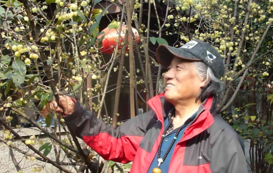 点此在新窗口浏览图片